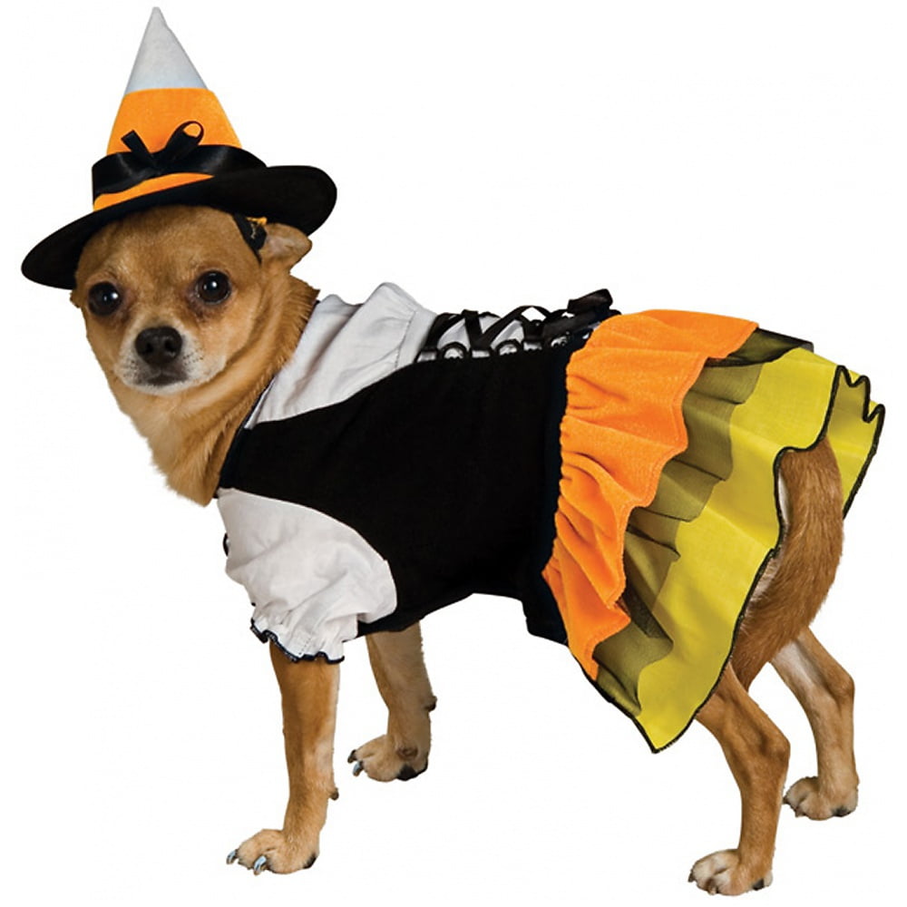 Candy Corn Witch Pet Pet Costume - Medium - Walmart.com